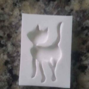 Coraline Gato