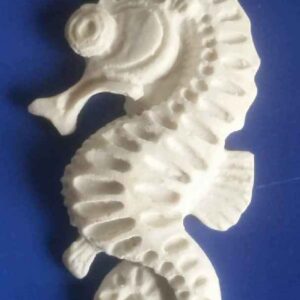 Fundo do mar cavalo marinho A