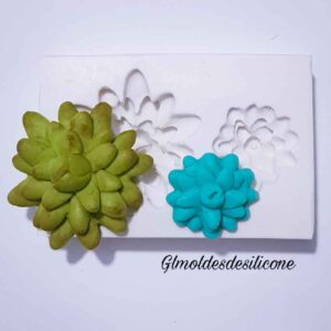 Suculenta D kit com 2