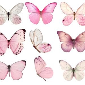 Borboletas comestíveis Rosa sortidas