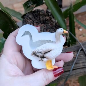 Fazendinha Realista Pato